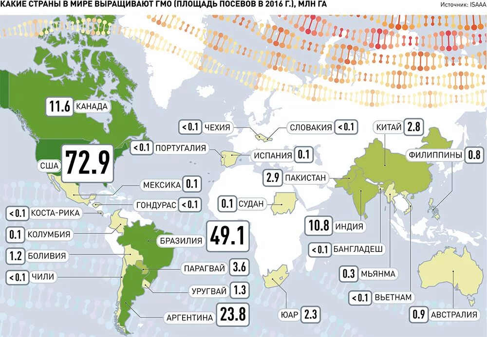 374 какая страна и город. Страны по выращиванию. Это где в какой стране. Какая Страна в стране. Карта распространения ГМО.