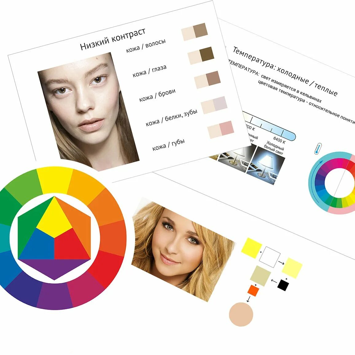 Курсы колористики. Колористика для парикмахеров с нуля. Обучение колористике. Курсы колориста парикмахера. Колористика волос.