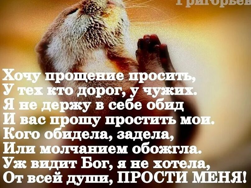 Изображать попросить. Прошу прощения если обидела. Если я обидела прости. Если чем обидела прости. Прошу прощения за обиды.