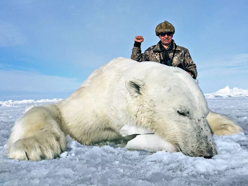волк убыл мальчик цунтинском районе. охота в карелии охота на кабана. охота на людей видео. охота кабана охота кабанов. охота на людей видео.