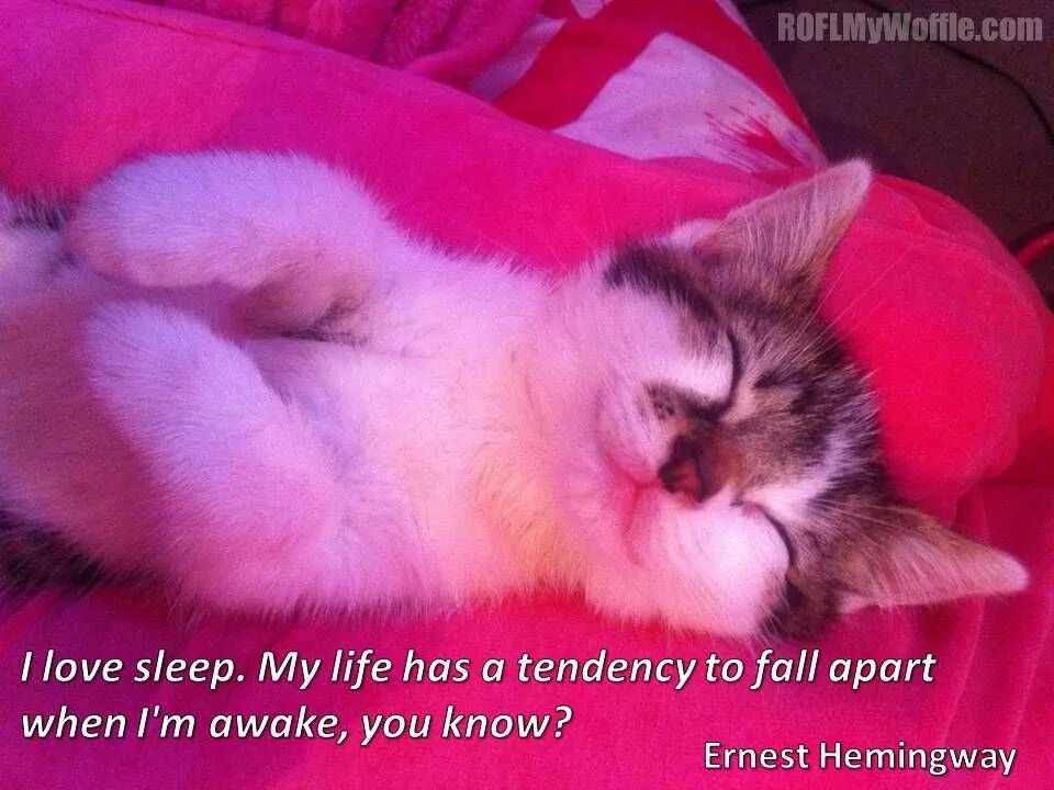 My sleeps my falls