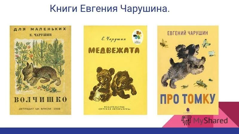 1 произведение чарушина. Книги е Чарушина для детей. Е.И Чарушин рассказы о животных иллюстрации.