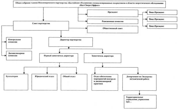 Организационная структура некоммерческого партнерства. Структура некоммерческой организации. Структура некоммерческой организации схема. Органы управления некоммерческой организации.