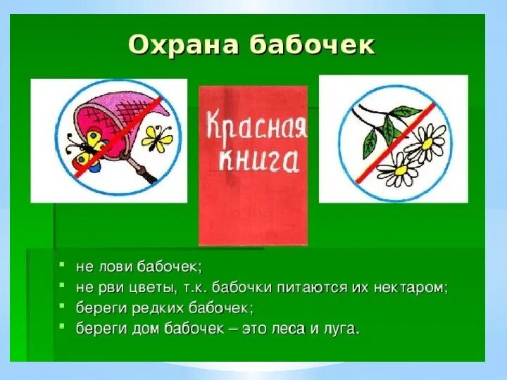 Берегите луга. Нельзя рвать цветы. почему нельзя рвать цветы и ловить бабочек. берегите бабочек. нельзя срывать растения.