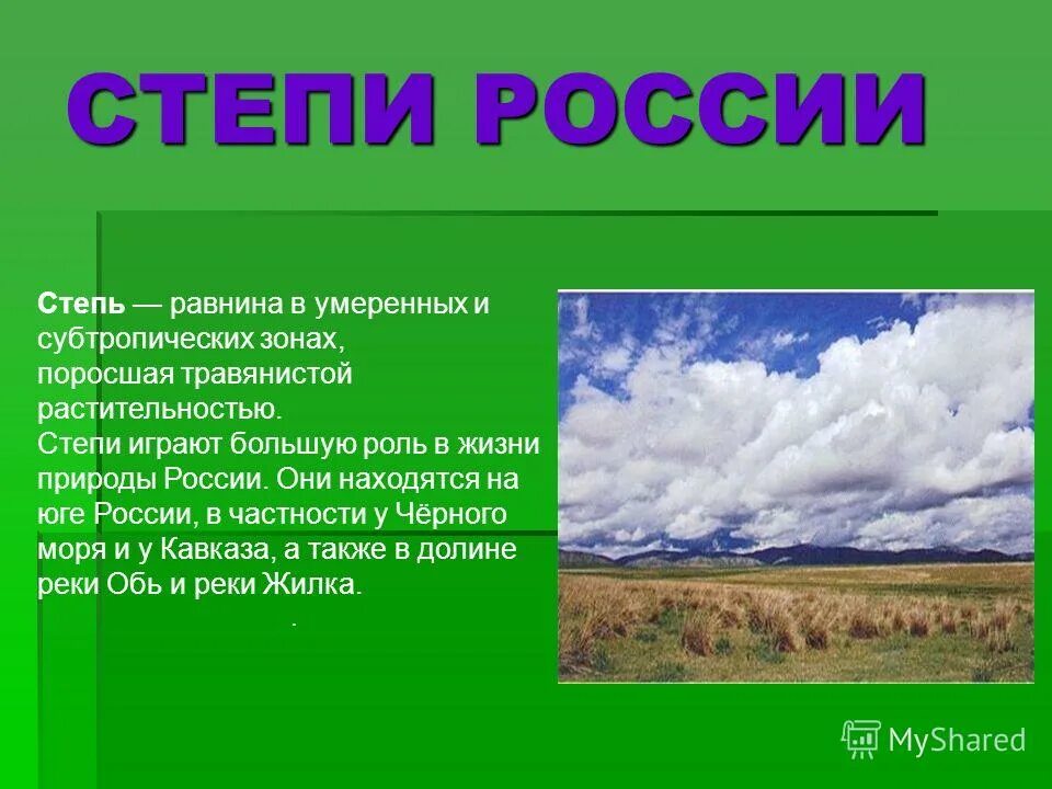 Доклад про степь. Растения зоны степей россии. Презентация на тему степь. Презентация на тему степь. Доклад про степь.