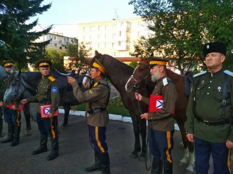 вышли казаки