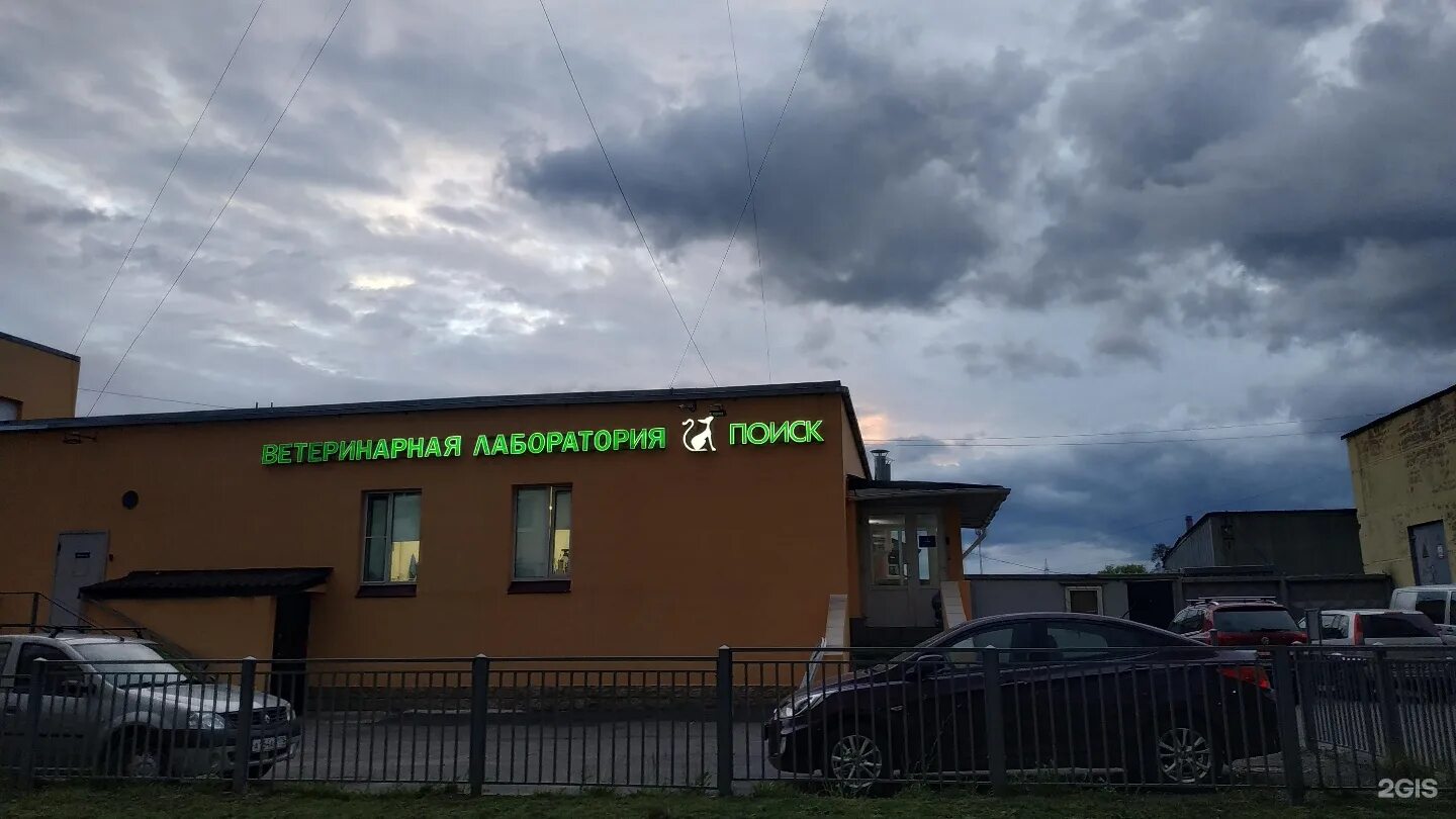 Репищева ул. Династия клиника спб репищева. Петербург ул репищева 13. Репищева 13 санкт-петербург. Репищева ветеринарная клиника.