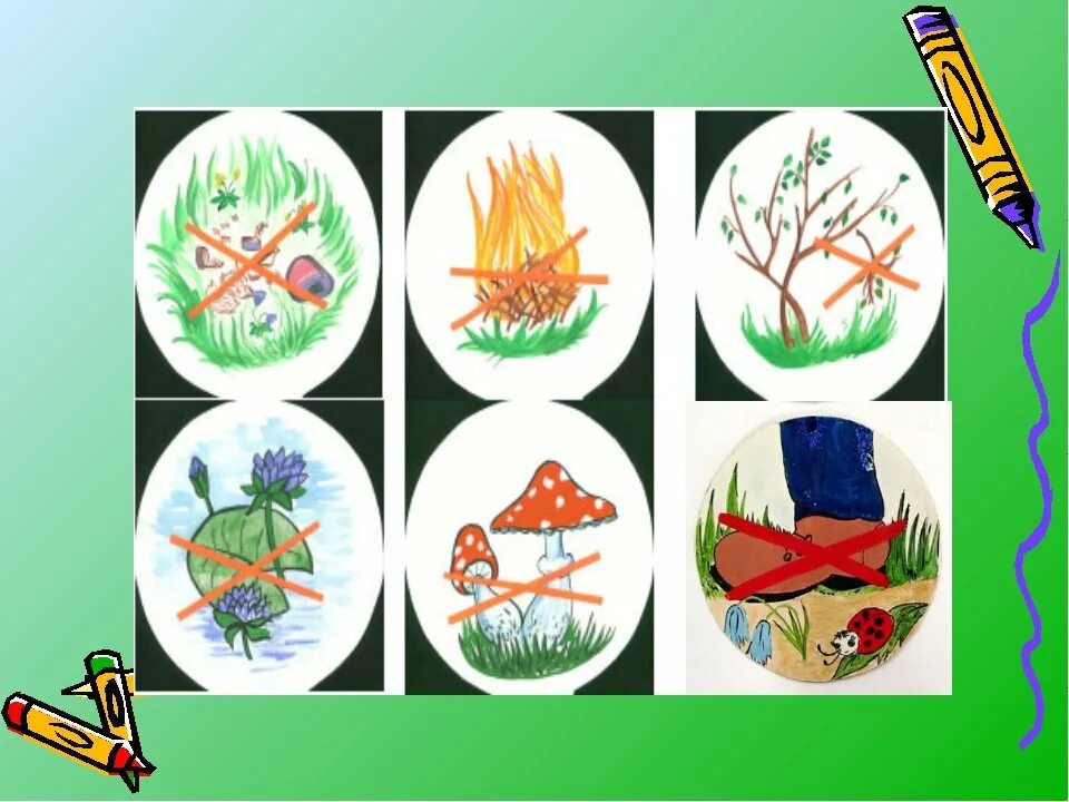 знаки п охоане природы. запрещающие знаки в лесу. условные знаки показывающие охрану сообществ леса. экологические знаки по охране природы. знаки природы.