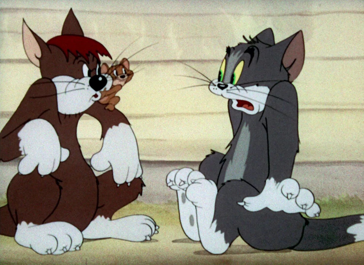 Том и джерри 9. Tom and Jerry 1954. Кот том и Джерри. Коты из Тома и Джерри. Том и Джерри несчастные коты.