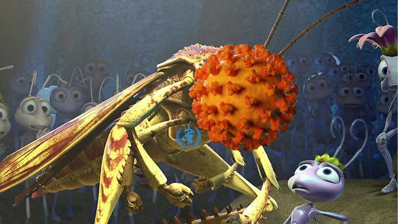 A bug s sleep. A bug&#039;s life.