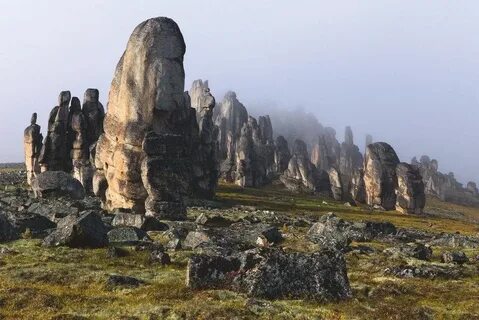 Будто каменные
