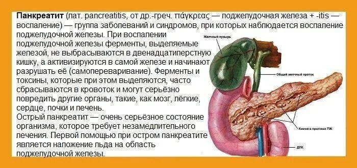 Лечит ли поджелудочную железу