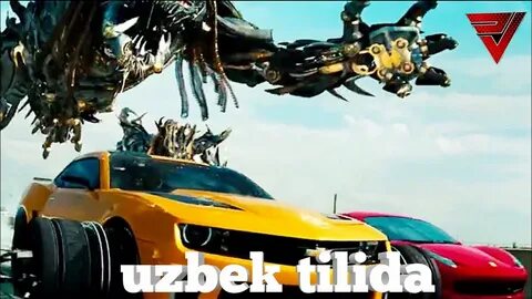 Hayvon transformerlar uzbek