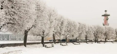 Какая погода зимой в санкт петербурге