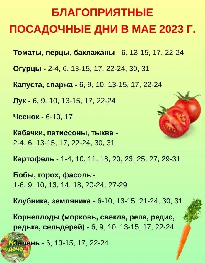 Лунный календарь для посадки помидор 2025. ,kfujghbznysq ltm lkz gjcflrb gjvbljhjd. посадочные дни. благоприятные дни для посадки. лунный посевной календарь для посева рассады.