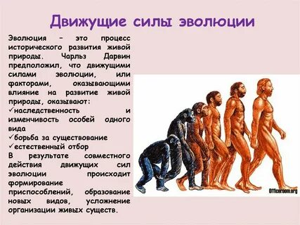 Жизни путем эволюции