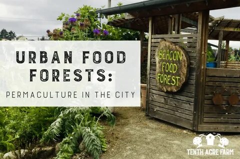 Food forest