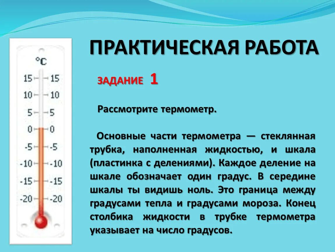 Тест измерение температуры. Название частей термометра 2 класс. Основные части термометра 2 класс. Термометр части термометра 2 класс окружающий мир. Основные части термометра 2 класс окружающий мир.