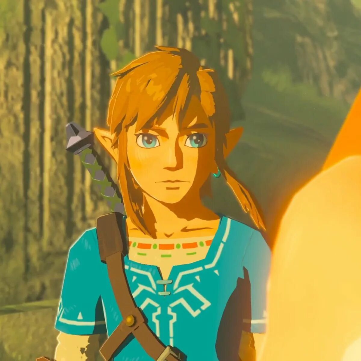Here is the link. Линк и зельда breath of the wild. линк зельда legend of wild. зельда 2. the legend of zelda: breath of the wild.
