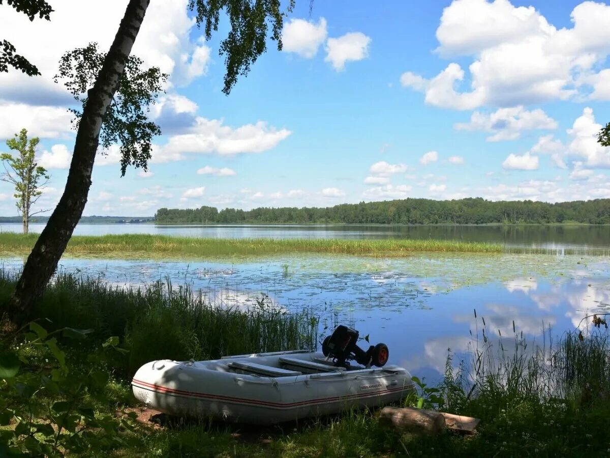 Купить озеро тверская область. Озеро стерж Тверская область. Озеро Вселуг Тверская область. Тверская область озеро стерж база отдыха. Озеро Пено Селигер.