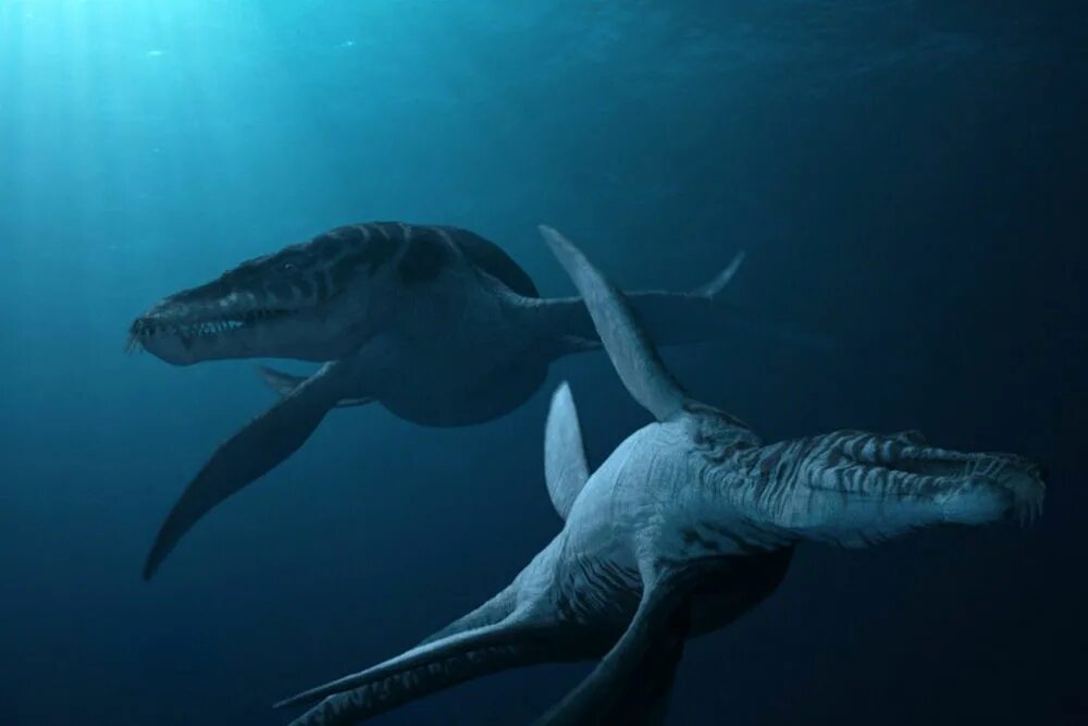 Морской динозавр Лиоплевродон. Морские динозавры 3d: путешествие в доисторический мир. Лиоплевродон и Мозазавр. Морские чудовища Мозазавр.