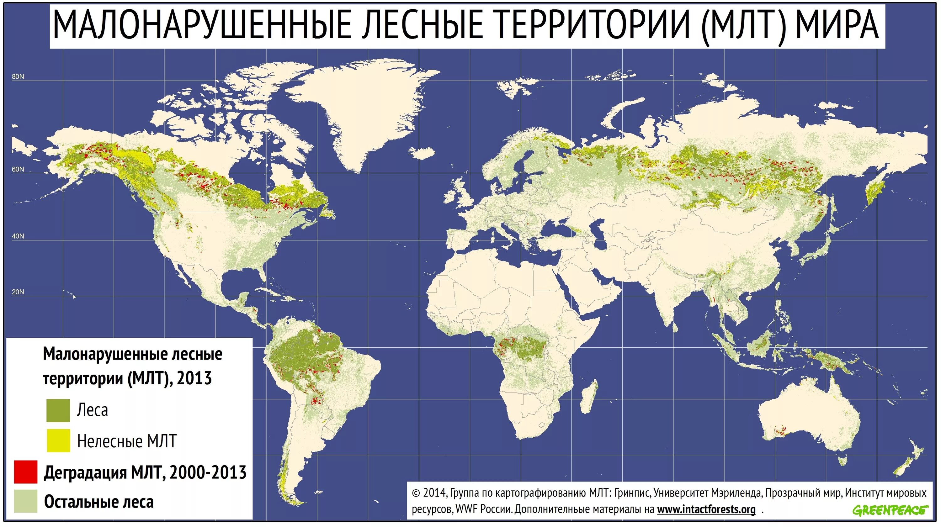 Карта вырубки лесов в мире. Самая большая территория земли в мире