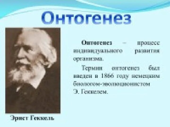 Схема онтогенез эмбриональный и постэмбриональный. Схема индивидуального развития организма. Онтогенез эмбриональный период развития. Ontogenesis. Индивидуальное развитие организма.