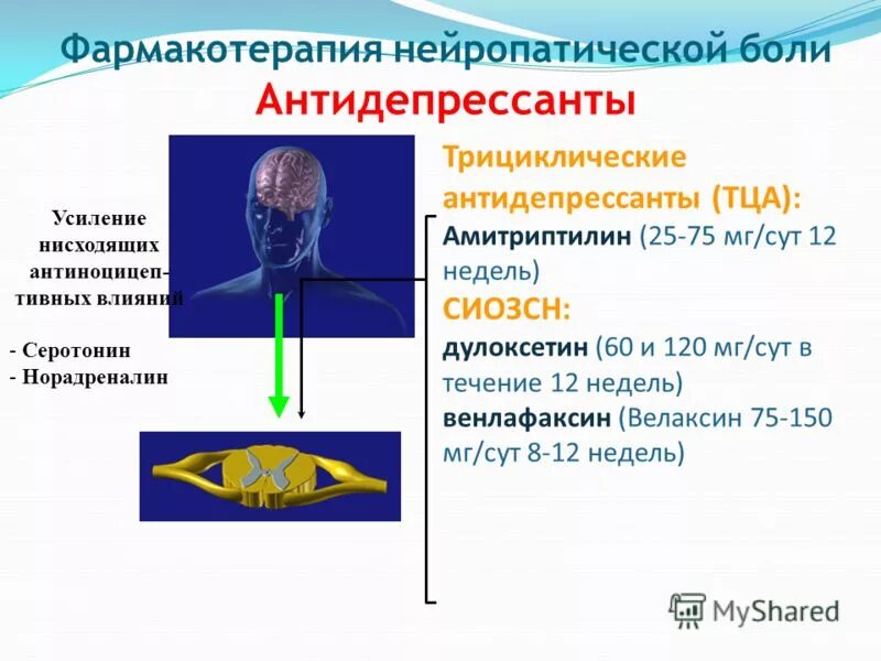 Рекомендуется для фармакотерапии боли умеренной интенсивности. Фармакотерапия нейропатической боли. Нейропатическая боль антидепрессанты. Терапия нейропатической боли препараты. Схема терапии нейропатической боли.