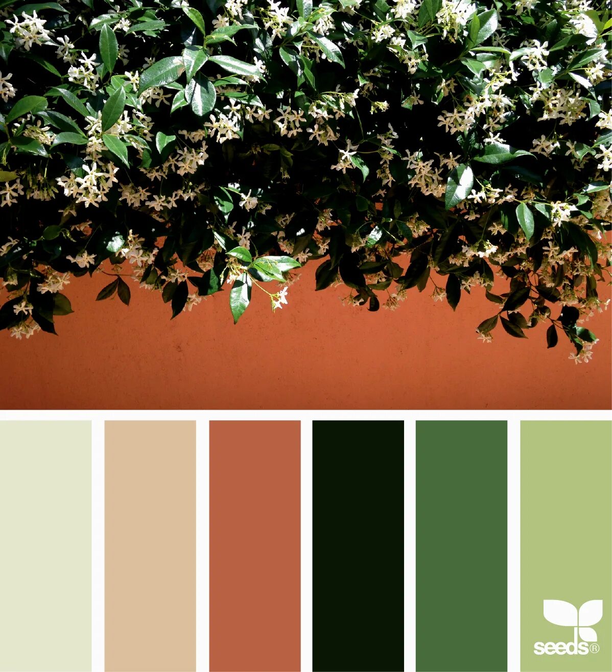 Seeds Color Palette изумрудный. Сочетание с зеленым. Цветовые сочетания с зеленым. Подборка цветовой гаммы.