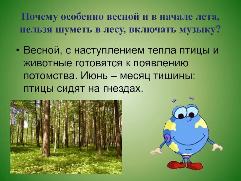 Почему весной запрещена. Нельзя шуметь в лесу. Почему нельзя шуметь в лесу. Почему весной нельзя шуметь в лесу. Правило поведения в лесу соблюдать тишину.