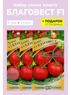 Фото томата благовест