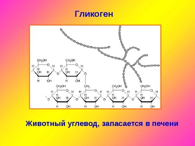 Кислород гликоген. Гликоген строение. структура гликогена. структура крахмала и гликогена. гликоген строение молекулы.