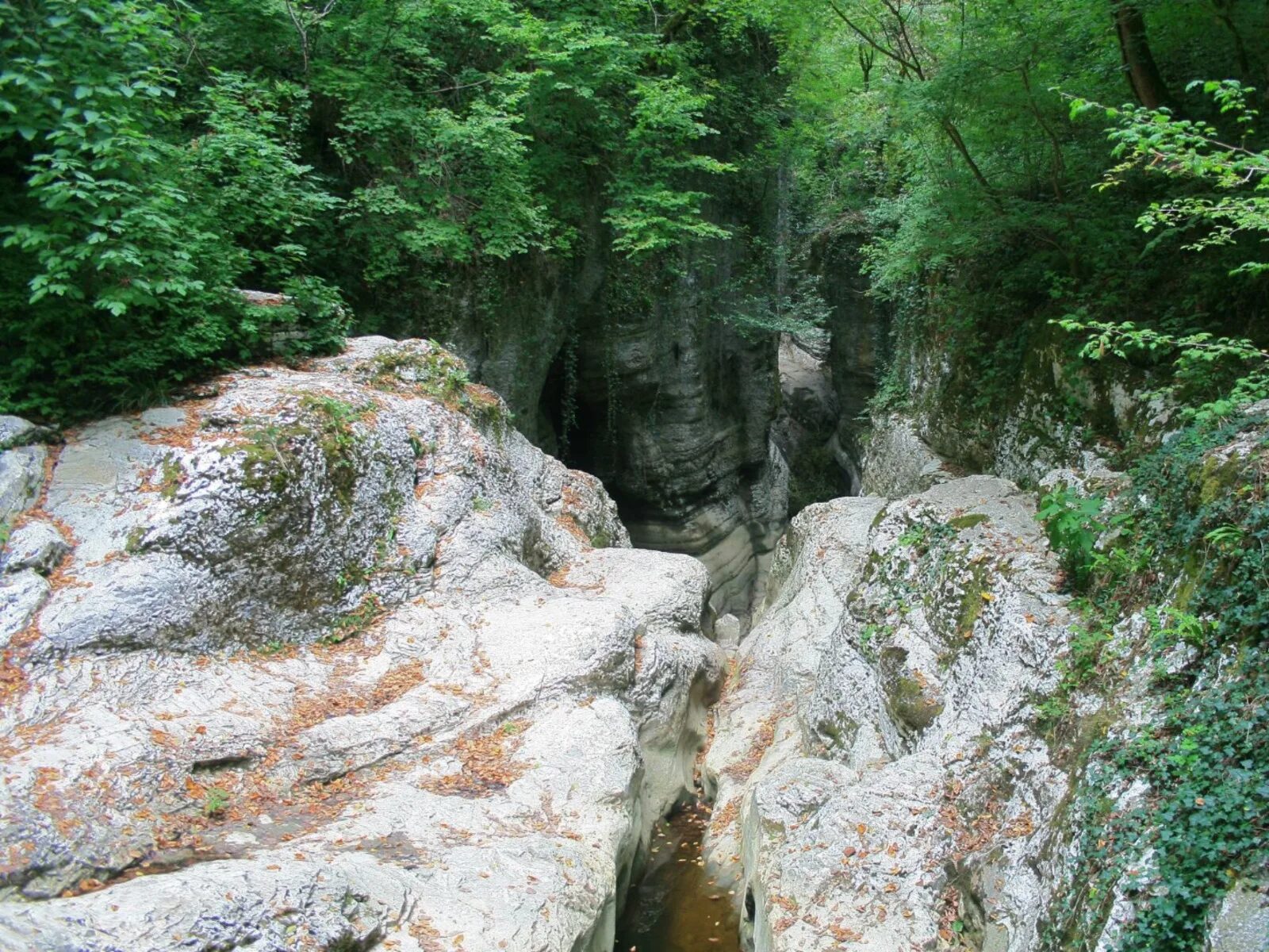 Агурские водопады краснодарский край. Сочи ущелье Агурское ущелье. Агурское ущелье Чертова купель. Агурское ущелье и водопады.