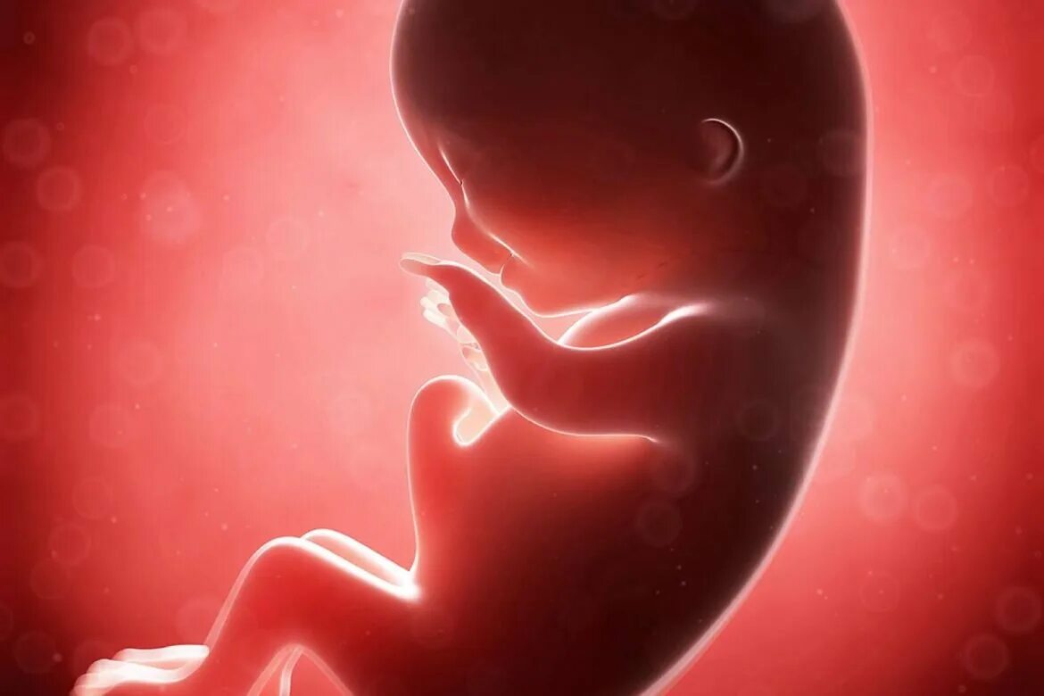 Музыкотерапия для беременных. Влияние музыки на внутриутробное развитие ребенка. Звуки в утробе. Младенец в утробе матери. Влияние музыки на развитие ребенка.