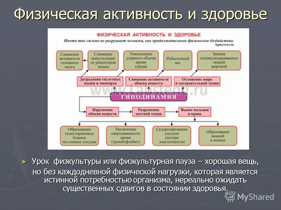 Гиподинамия влияние на организм человека. Физическая активность и здоровье. Физическая активность и здоровье инфографика. Фактор риска низкая физическая активность. Презентация тема физическая активность.