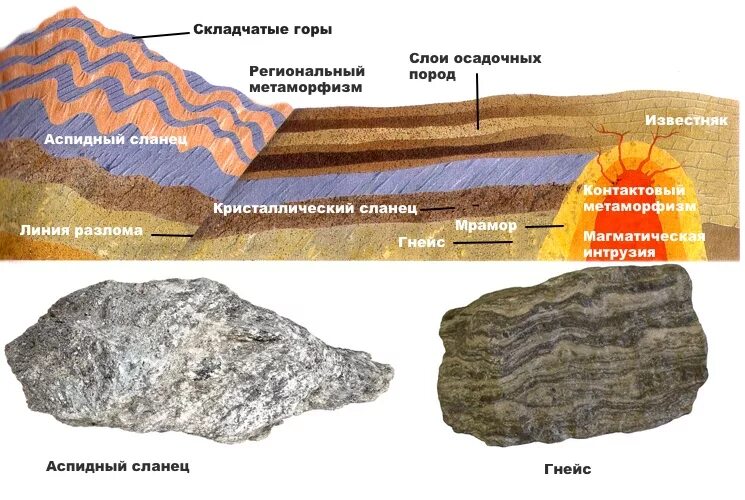 Метаморфические горные породы схема. Осадочные горные породы схема. Метаморфические горные породы схема образования. Образование метаморфических горных пород. Какие горные породы образовались в результате преобразования