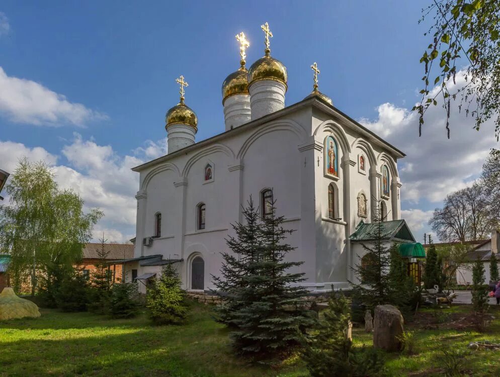 Свято-Троицкий монастырь Лебедянь. Лебедянь Троицкий женский монастырь. Троицкий Лебедянский женский монастырь в Липецкой области. Троицкий мужской монастырь Лебедянь.