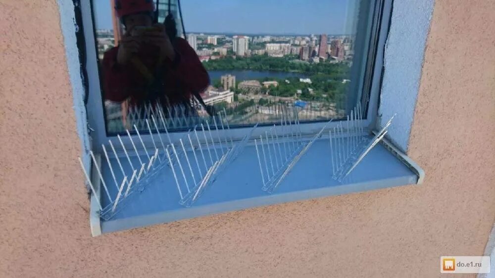 Чем отпугнуть голубей с балкона. Защита от голубей на подоконнике. защита балкона от голубей. отпугиватель голубей с подоконника. решетка от голубей.