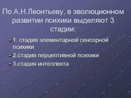 Стадии психики