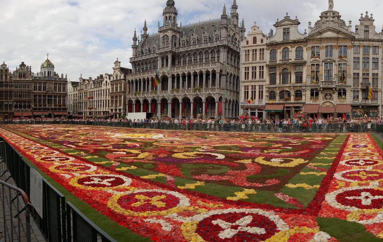 Пестрая страна. Брюссель фестиваль цветов. Парад цветов в Брюсселе. Цветочный ковер в Брюсселе. Брюссель бульвар принцессы.