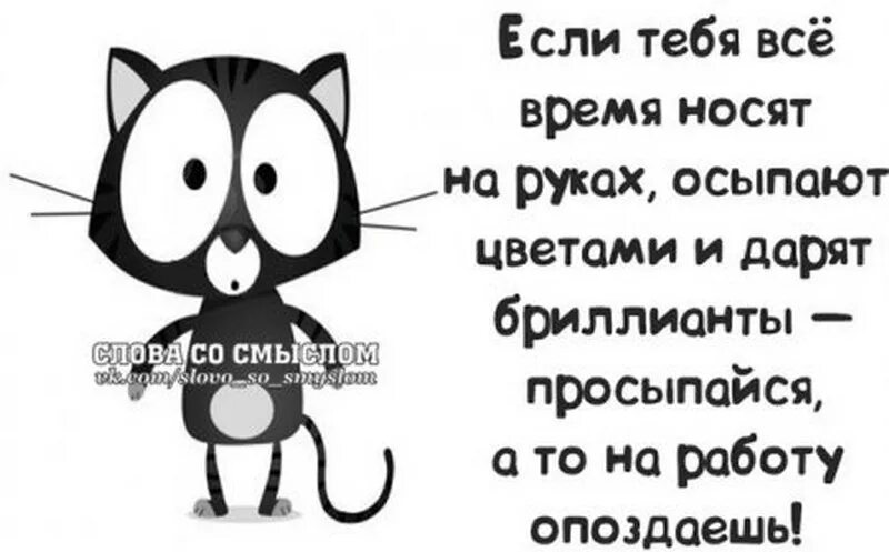 Время слова веселый. Слова со смыслом прикольные. Прикольные фразы для статуса. Слова со смыслом смешные. Приколы со словами.