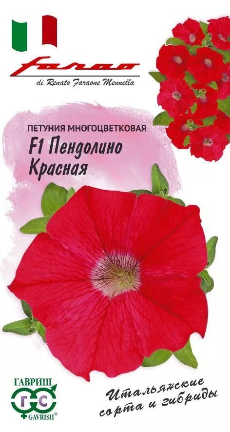 Петуния пендолино отзывы форум фото. Петуния сорт пендолино. Петуния пендолино красная. Петуния пендолино белая f1. Петуния пендолино белая.