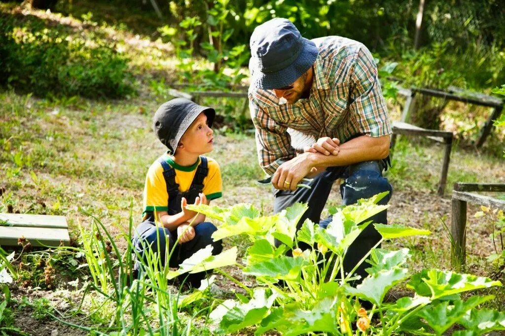 Наблюдение детей за природой. Мальчик в огороде. Два брата через грядку смотрят. Два братца через мать. Лето дети.