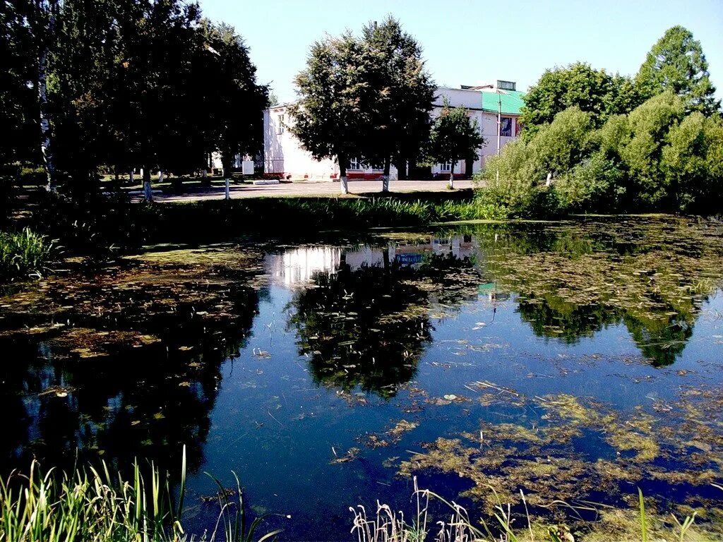 станция струнино. станция струнино владимирская область. вокзал города струнино. струнино жд вокзал. город струнино.