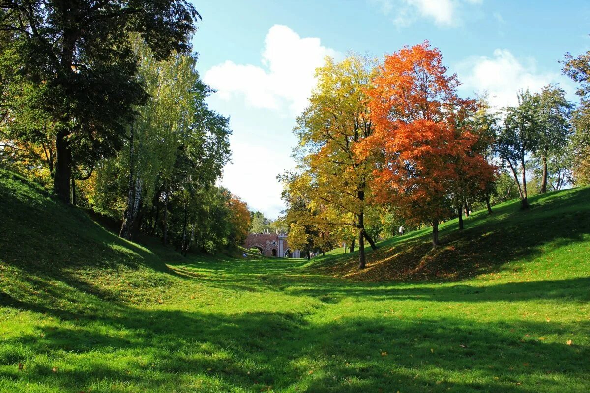 Парк Царицыно. Пейзажный парк Царицыно. Александровский парк Петергоф. ЦПКИО им Кирова Санкт-Петербург осень Приморский парк Победы. 10 парков россии