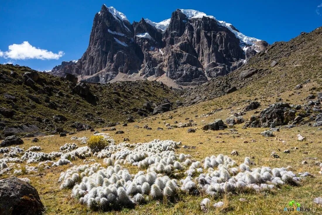 В какой стране находится гора анд. Аргентина горы Анды. Чили Анды. Горная цепь Анды Южная Америка. Альпийские Луга Анды Южная Америка.