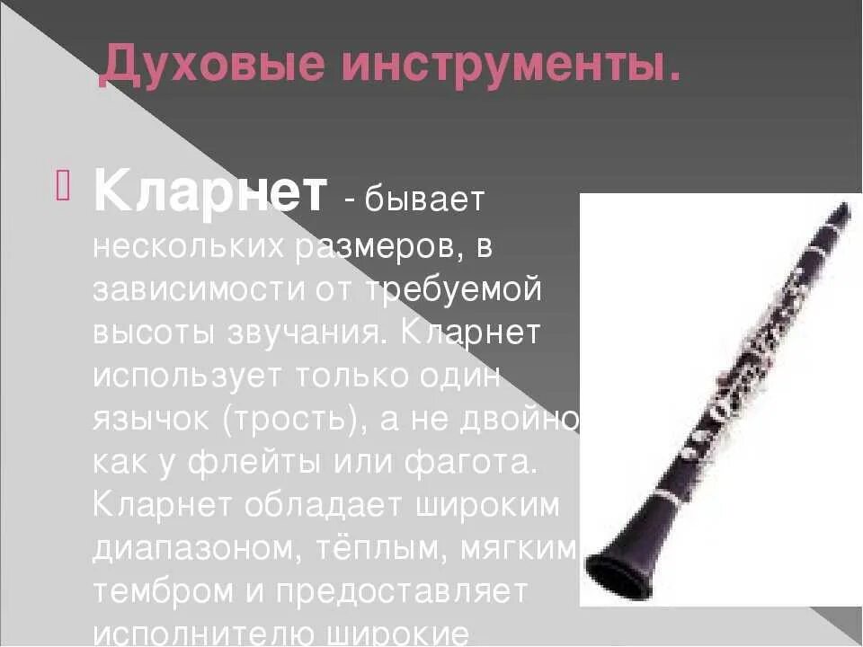 Фагот духовой музыкальный инструмент. Фагот духовой музыкальный инструмент. Духовые музыкальные инструменты 4 класс. Медные духовые инструменты туба. Медные духовые инструменты тромбон валторна труба туба.