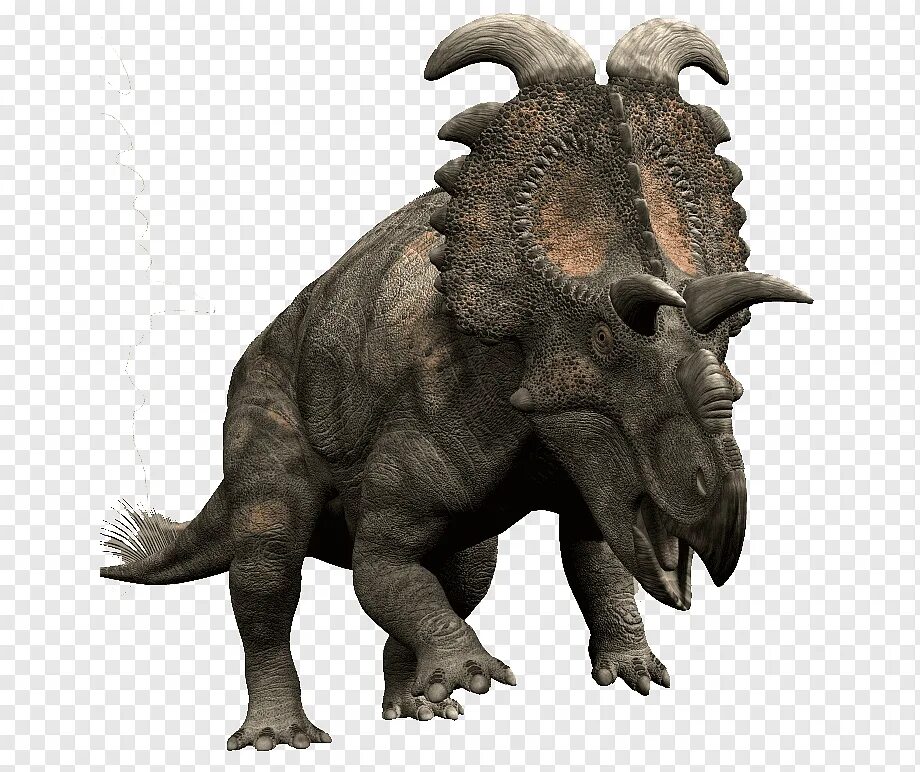 Цератопсы. Динозавр Альбертацератопс. Трицератопс цератопсиды. Цератопс и Трицератопс. Анхицератопс динозавр.