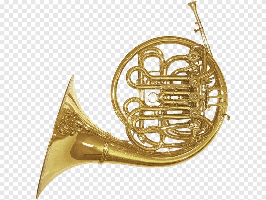 Валторна какой музыкальный инструмент. Валторна паксман. french horn музыкальный инструмент. валторна инструмент труба. валторна духовой музыкальный инструмент.