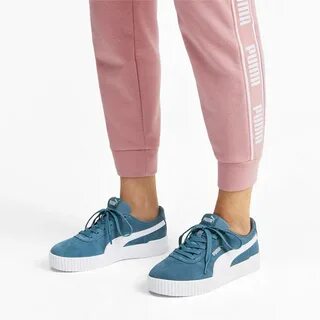 Puma carina